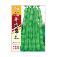 重慶本地受歡迎的四季豆品種，好吃好賣不易老化帶小時候的清香味