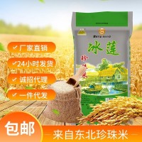 新米東北大米廠家直批珍珠米5kg圓粒10斤一件代發大米批發