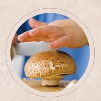 DETAN德添牛排菇 褐菇 早餐菇 購買請聯系，否則不發貨