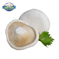 DETAN德添新鮮白靈菇 新鮮 購買請電話聯系，否則不發貨