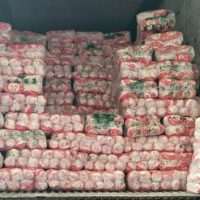 日銷40000斤娃娃菜，求貨源