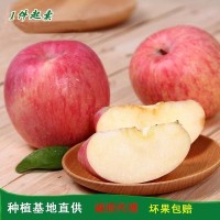 煙臺(tái)蘋(píng)果3斤5斤家庭裝 75/80/85mm以上水晶紅富士