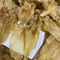 滋補(bǔ)大唐 多頭北海陰陽(yáng)公肚 魚膠花膠 足干A貨鳘魚肚干貨批發(fā)