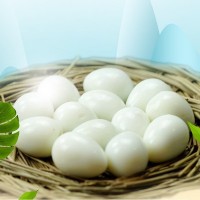 廠家直銷九升脫殼鵪鶉蛋白水蛋火鍋串串香鹵蛋剝殼鵪鶉?guó)B蛋批發(fā)定