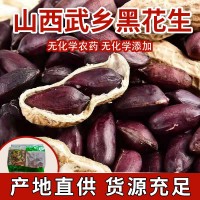 批發武鄉黑花生帶殼熟花生農產品花生歡迎選購