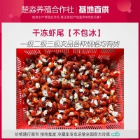 速凍單凍干凍冰凍小龍蝦蝦尾100粒一級二級三級干貨原料成噸批發(fā)