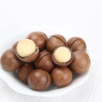 熱銷(xiāo)供應(yīng) 堅(jiān)果炒貨開(kāi)口夏威夷果 休閑零食夏威夷果210g送開(kāi)口器  2袋起批