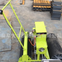 多行蔬菜播種機株距可調(diào)節(jié)大蔥、洋蔥、白菜、芹菜播種機