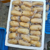 鮮天麻真空保鮮天麻一個一袋，酒店冰鎮天麻片，天麻食材長年供應