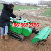 選購(gòu)大蔥開(kāi)溝機(jī)小型鏈條開(kāi)溝機(jī)果園專(zhuān)用開(kāi)溝機(jī)開(kāi)溝施肥一體機(jī) cfa