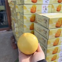 【一件代發(fā)】芒果桃子大連特產新鮮桃子順豐包郵孕婦水果脆甜