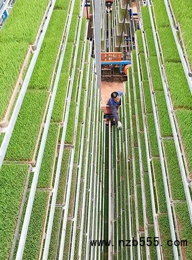 微信截圖_20250417163536