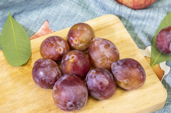 ScreenShot_2026-01-06_161910_010