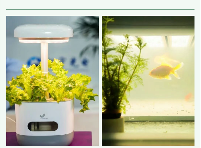 wFU65R7NiT58AAAAABJRU5ErkJggg==