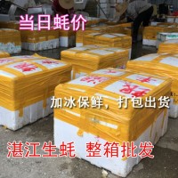 深圳牡蠣湛江生蠔批發(fā)鮮活水產(chǎn)海鮮新鮮臺山帶殼燒烤一箱100斤