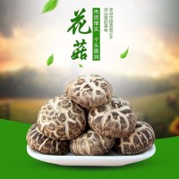 黃山花菇香氣濃郁菇型厚實無添加