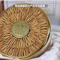 西藏冬蟲夏草干貨批發 頭期高海拔蟲草禮盒裝 多規格干蟲草無斷草
