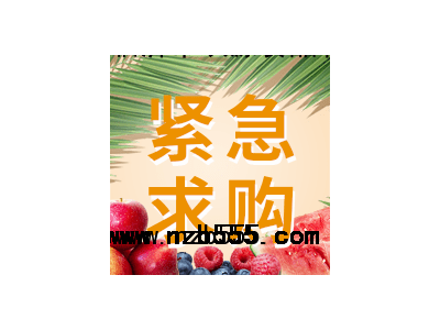 采購品種：沙蔥